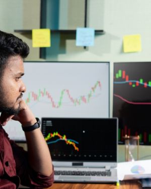 Introduction to the stock market